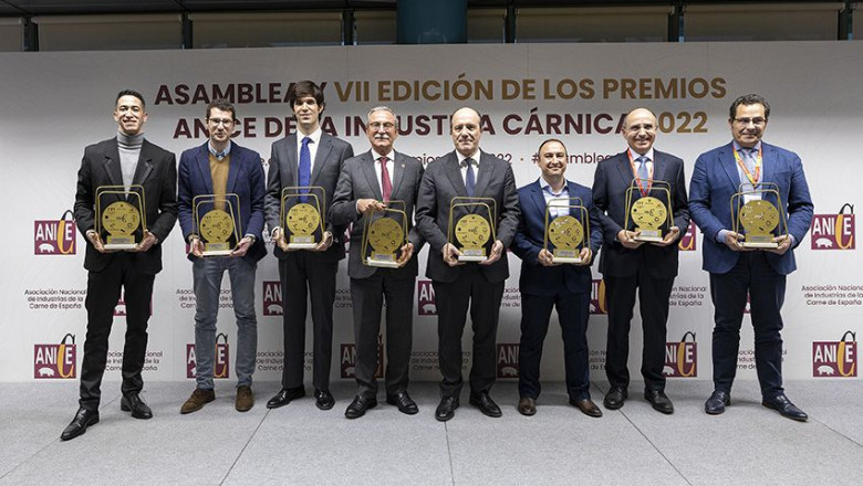 premios anice 2022