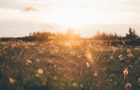 1572349143 imagennota prensa funeonline 1 opt