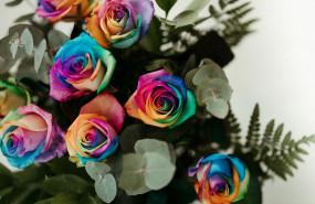 1594656858 flores multicolor naturkenva