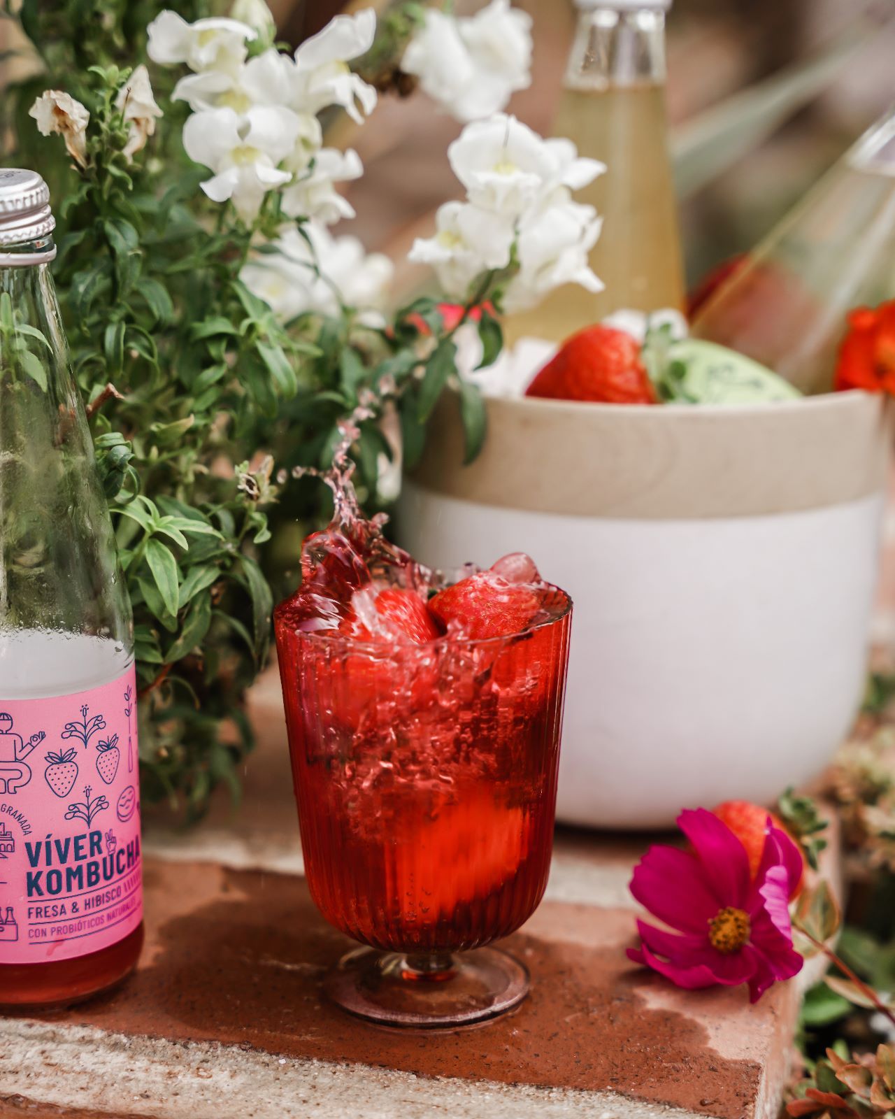 beber saludable y delicioso en navidad con vver kombucha