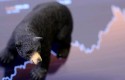 cbbajistabear2 short cbbajistabear2 short