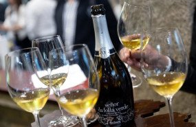 ep archivo   botellas de vino durante la inauguracion del 38 salon gourmets