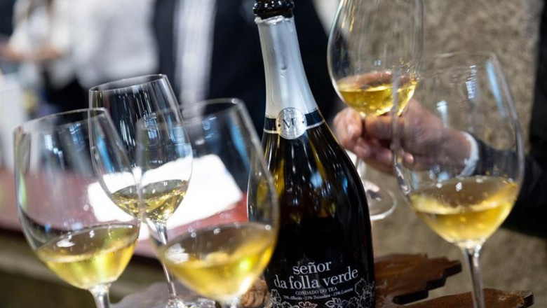 ep archivo   botellas de vino durante la inauguracion del 38 salon gourmets