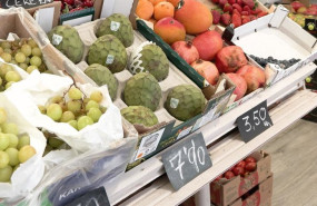 ep archivo   expositor de frutas y verduras