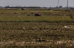 ep archivo   restos de la dana en un campo de arrozales en las inmediaciones de la albufera a un mes
