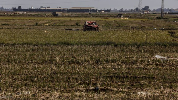 ep archivo   restos de la dana en un campo de arrozales en las inmediaciones de la albufera a un mes