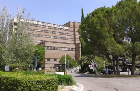 ep hospital publico lluis alcanyisxtiva