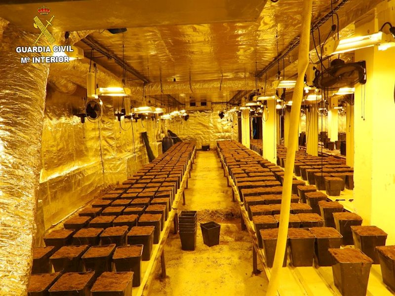 ep imagen del interior de la finca donde los detenidos tenian tambien una plantacion de marihuana ep imagen del interior de la finca donde los detenidos tenian tambien una plantacion de marihuana