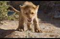 ep imagenla nueva versionrey leon ep imagenla nueva versionrey leon