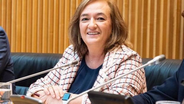 ep la presidenta de la airef cristina herrero en una comparecencia ante la comision de hacienda del
