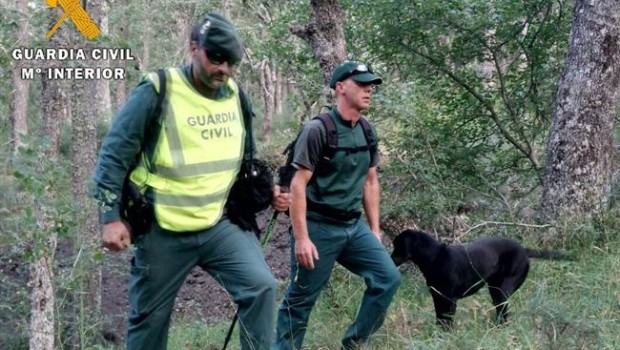 ep laboresbusquedaarenos palencia