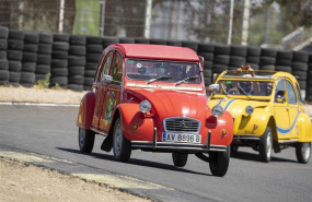 ep modelo clasicocitron100 aniversariola marcacircuitojarama