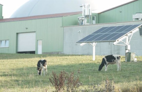 ep proyecto de iberdrola en la granja kirch