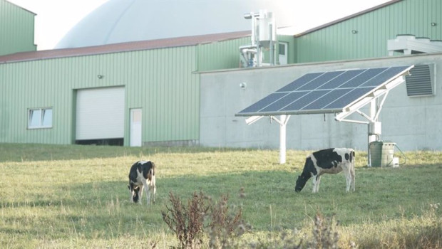 ep proyecto de iberdrola en la granja kirch