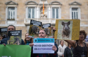 ep un momento de la movilizacion