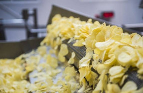 monti 20260227161209