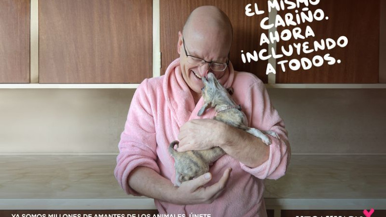 animal lover spain baja