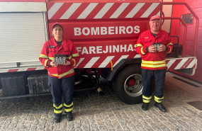 bombeiros farejinhas 1 bombeiros farejinhas 1