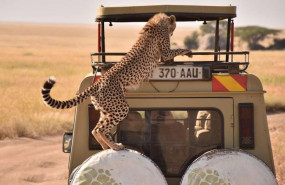 captura 20230317125815