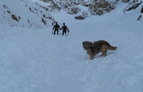 ep agentesla guardia civilunidad canina rastrean aludpena telera