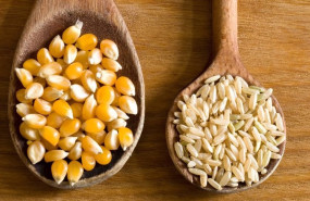 ep archivo   cereales semillas comida exportaciones