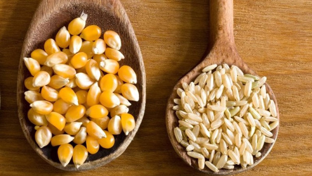 ep archivo   cereales semillas comida exportaciones