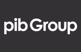 ep archivo   logo de la empresa pib group