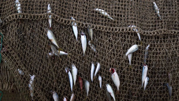 ep archivo   materiales de pesca en el puerto de arenys a 11 de diciembre de 2024 en arenys de mar