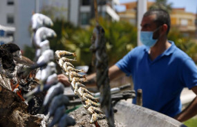ep archivo   un espetero prepara sardinas en las playas de pedregalejo malaga a 20 de mayo del 2020