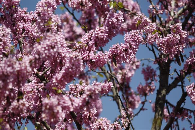 ep buen tiempo clima altas temperaturas temperatura primavera primaveral