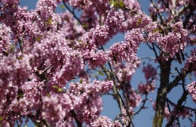 ep buen tiempo clima altas temperaturas temperatura primavera primaveral