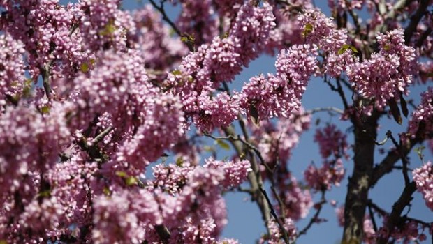 ep buen tiempo clima altas temperaturas temperatura primavera primaveral