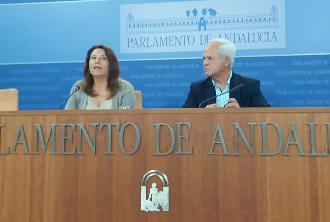 Carmen Crespo y José Antonio Miranda (PP-A) en rueda de prensa | EUROPA PRESS ep carmen crespojose antonio miranda pp-a en ruedaprensa 20180718130312