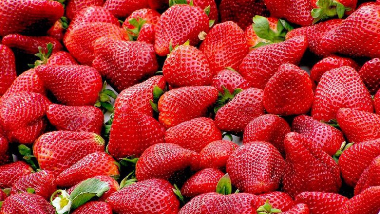 ep fresas 20240407114603 ep fresas 20240407114603