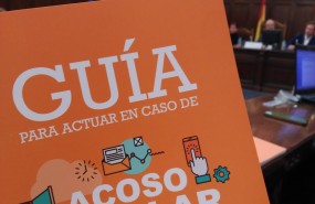 ep guiaactuarcasosacoso escolar