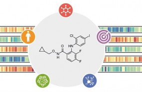 ep imagen grafica del chemical checker desarrollado por el irb de barcelona