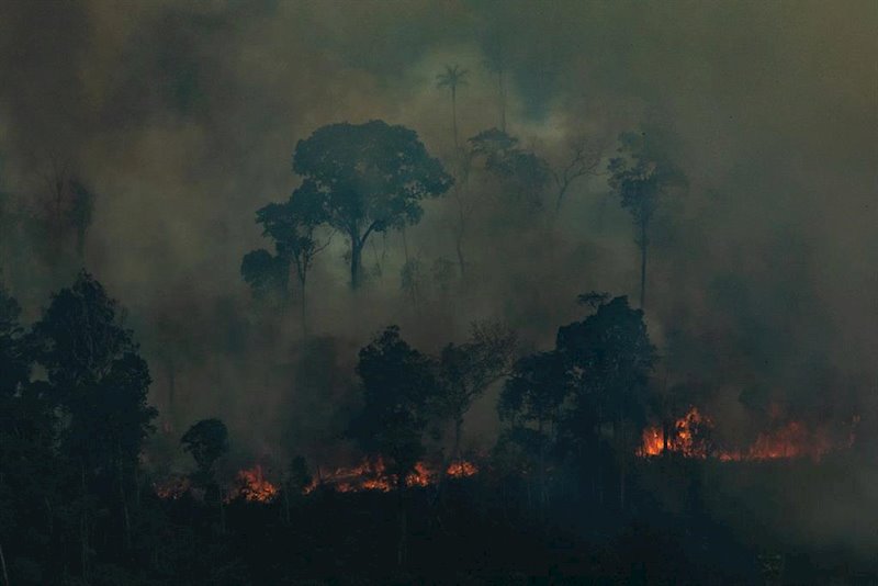 Victor Moriyama/Greenpeace Brazi / DPA - Archivo ep incendios en la amazonas de brasil cerca de caneiras do jamari en rondonia imagen de archivo