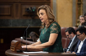 ep la diputada de coalicion canaria cristina valido interviene durante una sesion plenaria en el
