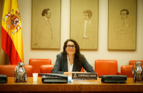 ep la subdirectora general de la fundacion secretariado gitano maria teresa suarez comparece en el