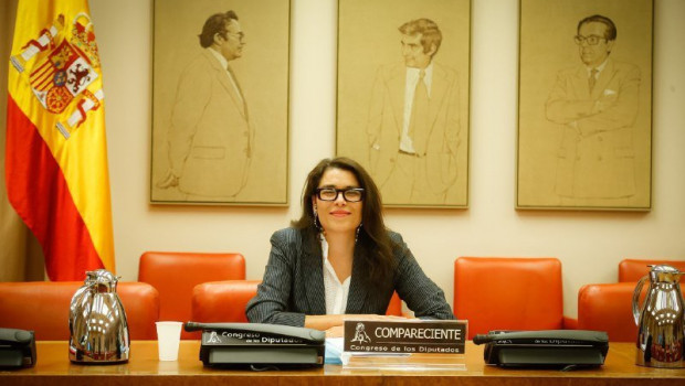 ep la subdirectora general de la fundacion secretariado gitano maria teresa suarez comparece en el