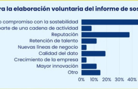 ep motivos para la elaboracion voluntaria del informe de sostenibilidad