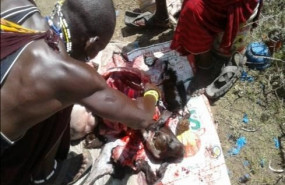 ep personas del africa subsahariana que consumen regularmente carne de animales silvestres de dos a