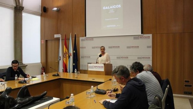 ep ruedaprensala presidentala diputacionpontevedra