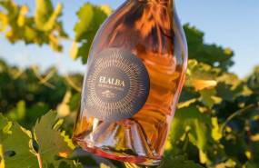 ep una de las botellas del rosado elalba de emilio moro ep una de las botellas del rosado elalba de emilio moro