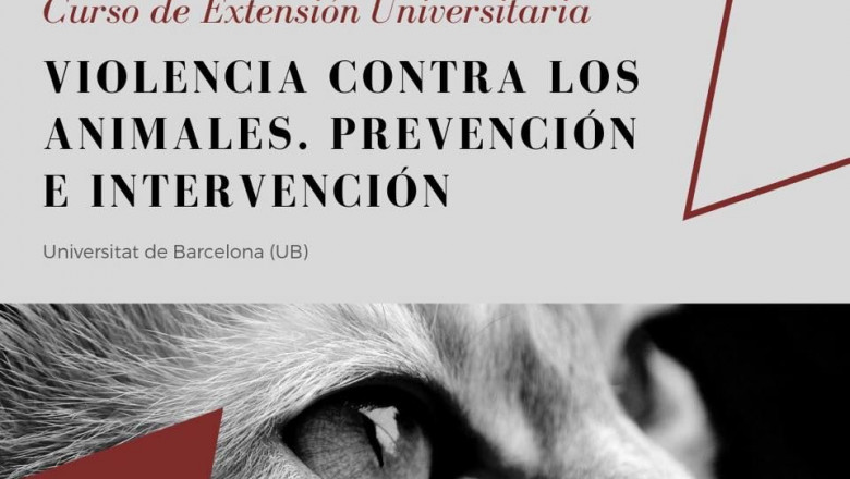 1570140345 647326751240459379465001 4624716631375872000 n