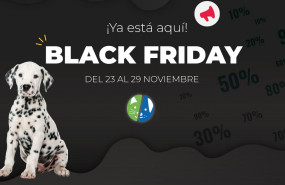 1605881841 moodboard noviembre