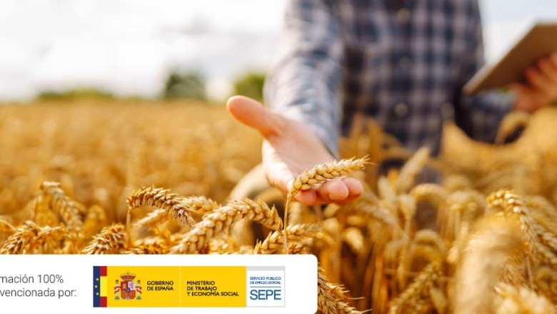 202601 nota agricultura 2