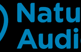 2audio 2audio
