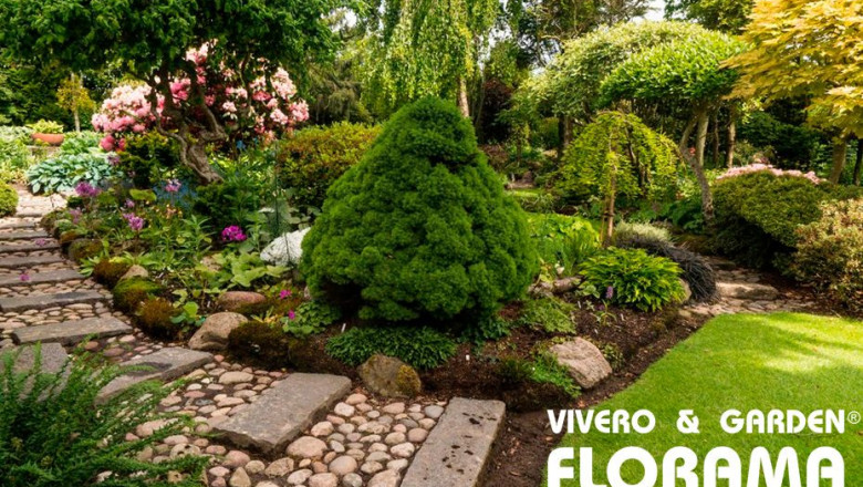 diseno de jardines madrid