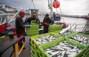 ep archivo cajas de pescado a su llegada al puerto de burela ep archivo cajas de pescado a su llegada al puerto de burela